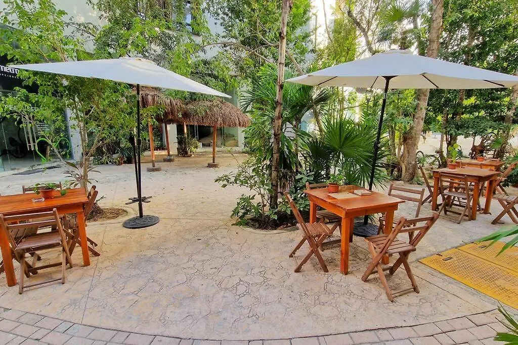 Eco-Friendly And Modern Loft 4 By Noox Appartement Tulum Pueblo Mexico